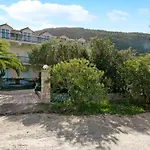 Dolphin 8 קרי