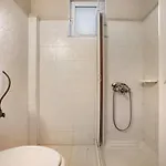 Dolphin 8