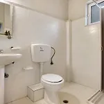 Dolphin 8
